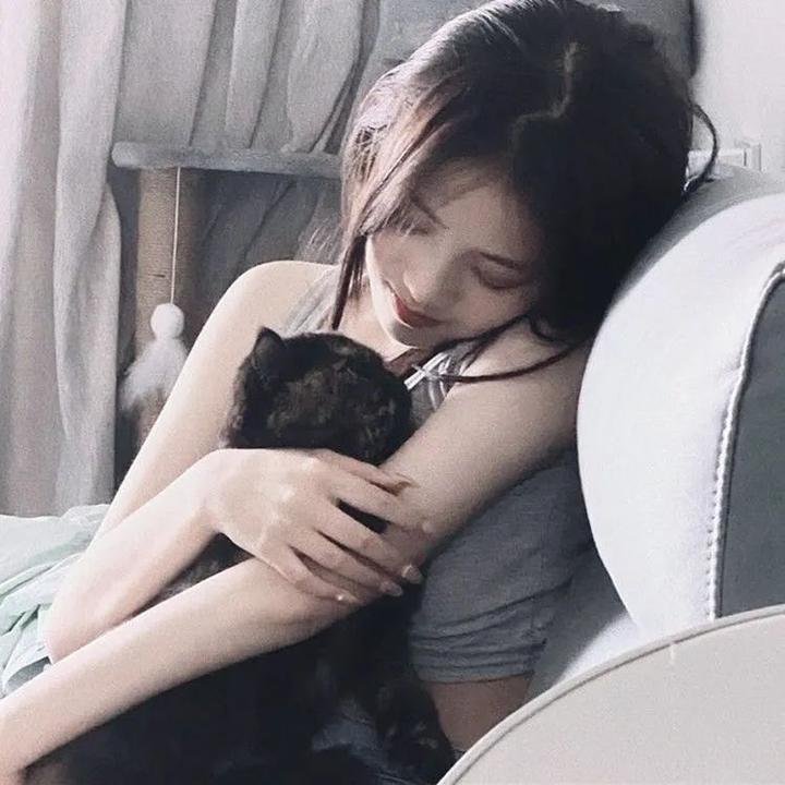 爱情森林