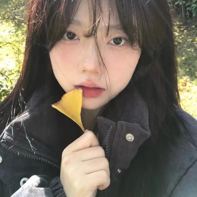 风流夜合花